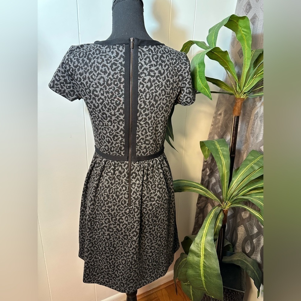 Loft Women’s Gray Leopard Print Dress Size 0 - Picture 3 of 10